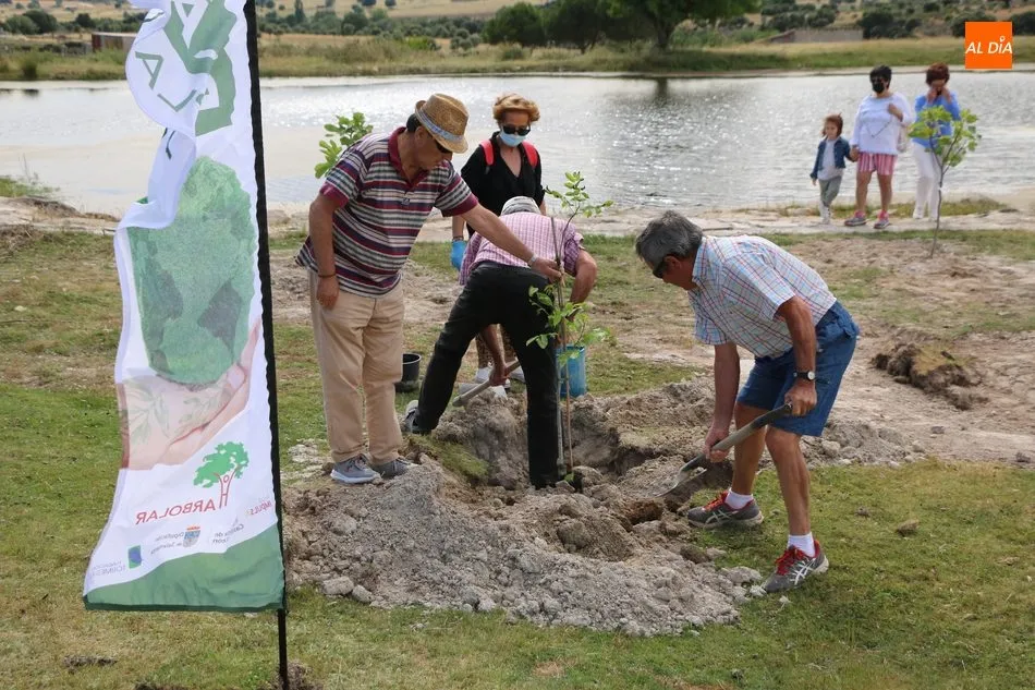 Foto 8 - Cip&eacute;rez se suma al proyecto Arbolar con una treintena de voluntarios para plantar 42 frutales  