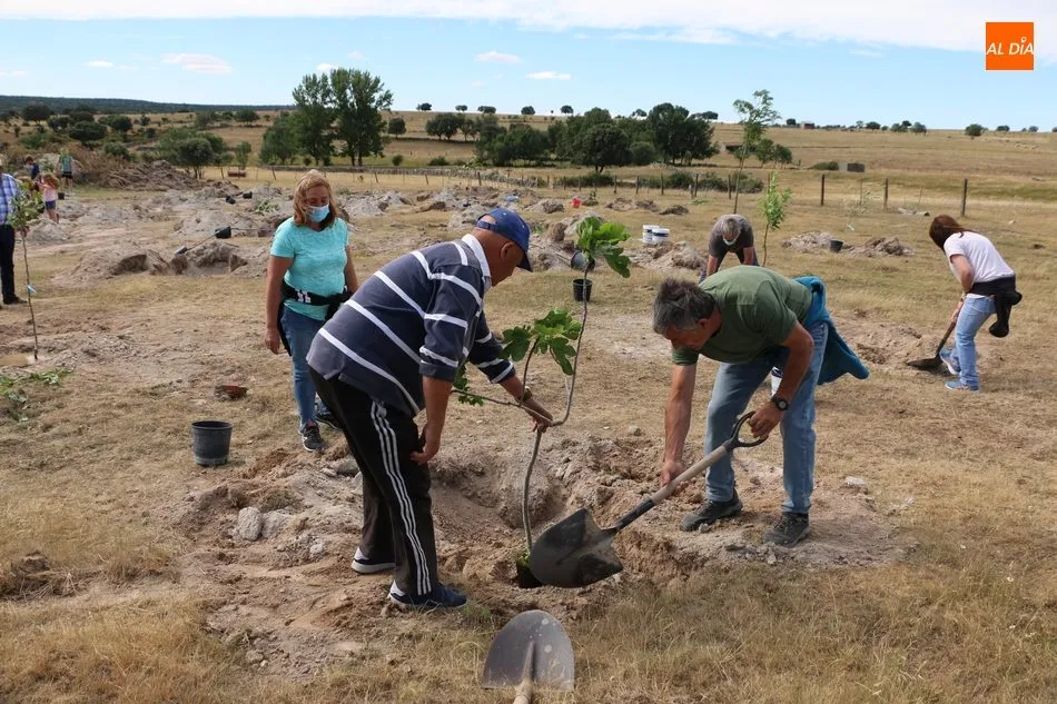 Foto 7 - Cip&eacute;rez se suma al proyecto Arbolar con una treintena de voluntarios para plantar 42 frutales  