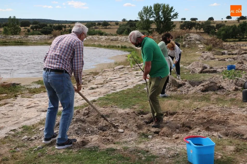 Foto 6 - Cip&eacute;rez se suma al proyecto Arbolar con una treintena de voluntarios para plantar 42 frutales  