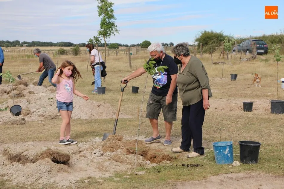 Foto 5 - Cip&eacute;rez se suma al proyecto Arbolar con una treintena de voluntarios para plantar 42 frutales  