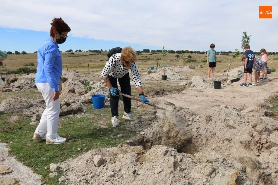 Foto 4 - Cip&eacute;rez se suma al proyecto Arbolar con una treintena de voluntarios para plantar 42 frutales  