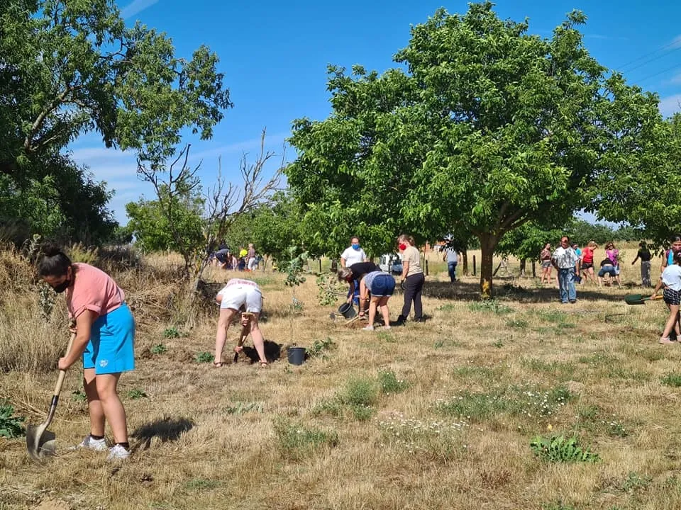 Foto 9 - Personas de diferentes edades&nbsp;participan en la plantaci&oacute;n de 42 &aacute;rboles en Cantalpino  