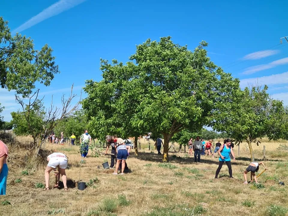 Foto 2 - Personas de diferentes edades&nbsp;participan en la plantaci&oacute;n de 42 &aacute;rboles en Cantalpino  