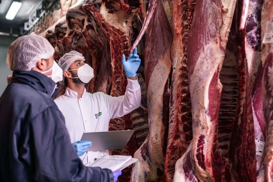 Foto 2 - Dehesa Grande aprueba su primer plan estrat&eacute;gico 2021-2025 y consolida su crecimiento sostenible y ...