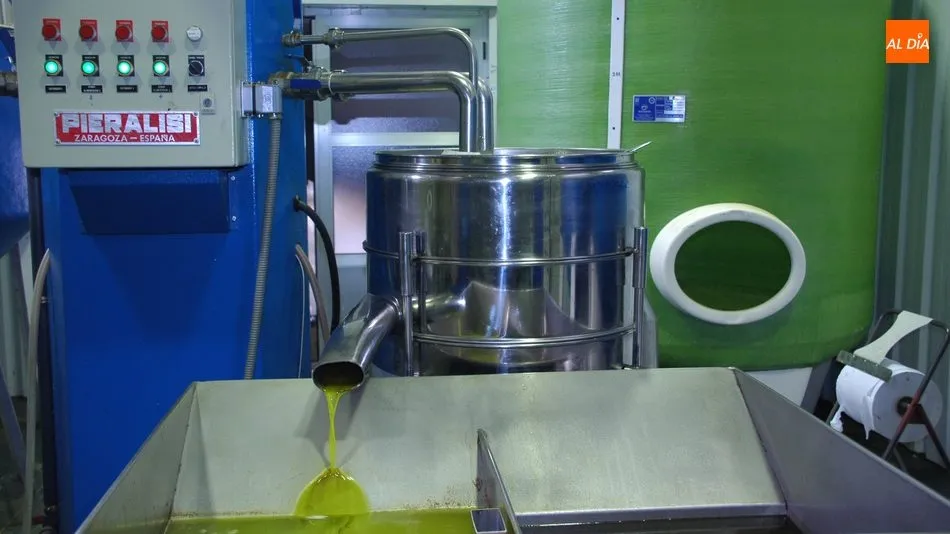 Sin modernización de instalaciones es imposible obtener rentabilidad y ser competitivos a pesar de tener un producto estrella / CORRAL