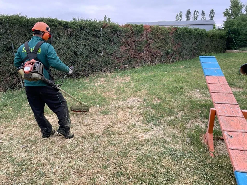 Foto 2 - Prosiguen los trabajos en diferentes zonas verdes de Alba de Tormes