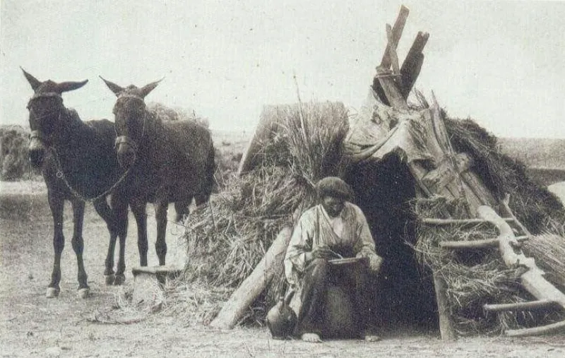 Foto 3 - Las duras tareas del campo a mediados del XX en Bogajo