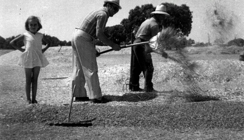 Foto 2 - Las duras tareas del campo a mediados del XX en Bogajo