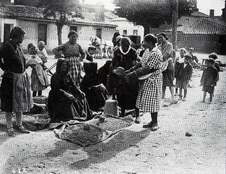 Foto 6 - La romer&iacute;a de Tejares, fiesta tradicional salmantina