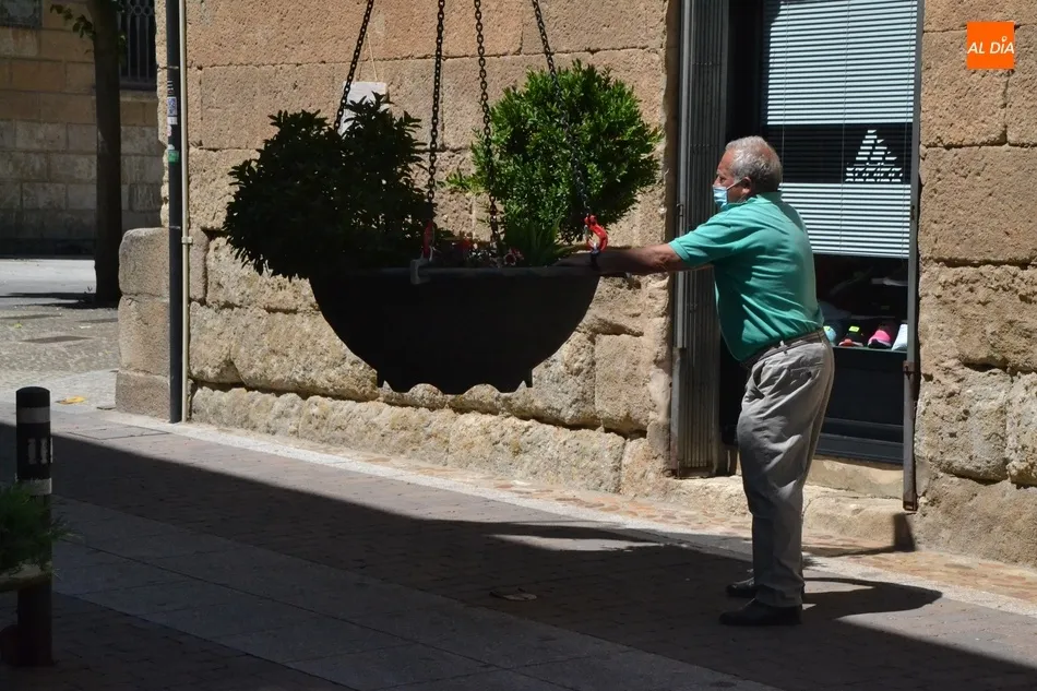 Foto 4 - Colocadas nuevas jardineras en el inicio de la calle Madrid  