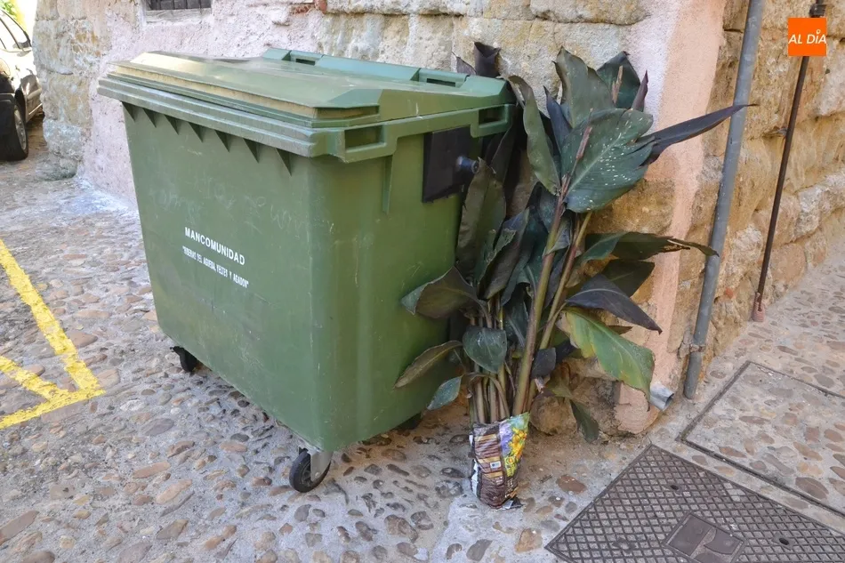 A partir de este fin de semana también se puede tirar la basura los sábados  