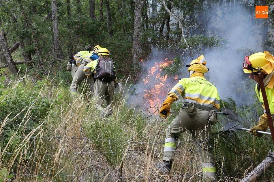 Medios terrestres y aéreos tratan de sofocar un fuego en Arenas de San Pedro