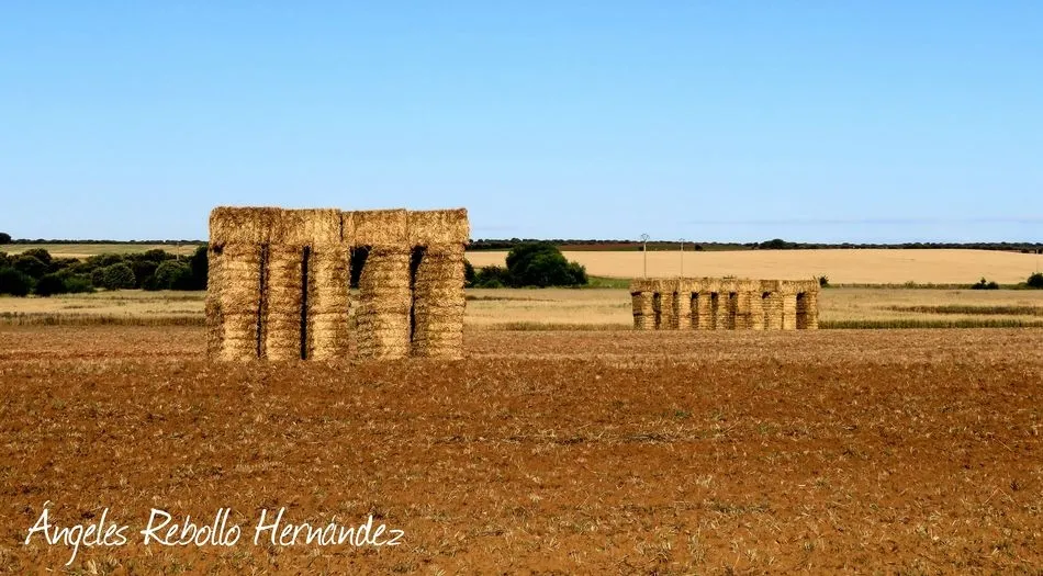Un partenón agrícola