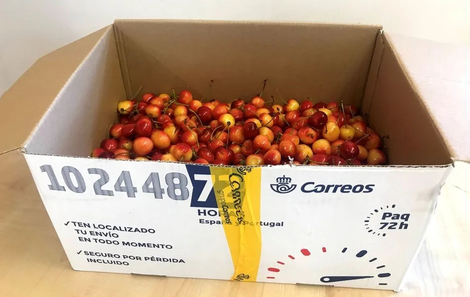 El embalaje es el conocido como Paq Premium Caja Mediana, que cuenta con unas medidas de 39 cm x 28 cm x 19 cm