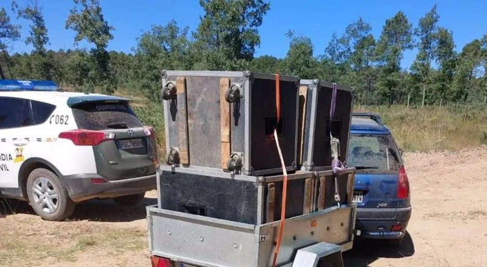 Desalojo de una acampada en un pinar de Soria que podría ser previa a una fiesta rave. Foto SUBDELEGACIÓN DEL GOBIERNO