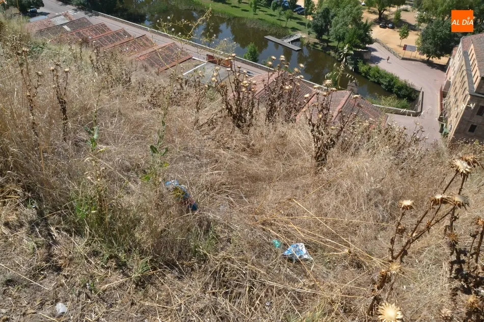 1Foto: Suciedad veraniega  