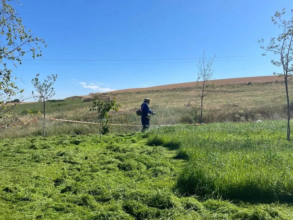 Trabajos de jardinería por parte de un operario municipal en Alba de Tormes