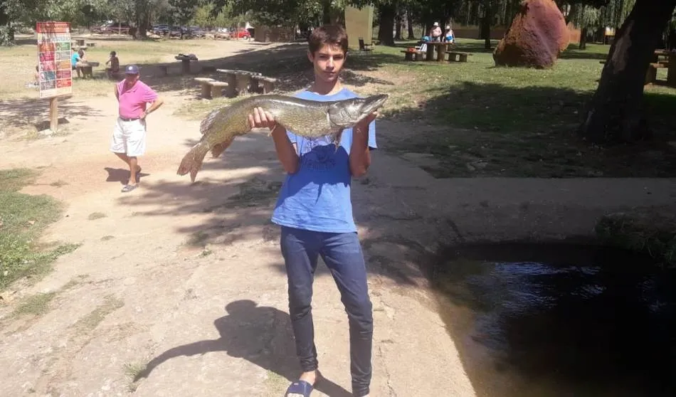 El joven Manuel Hernández captura un lucio de 7,5 kilos en las aguas del Águeda  