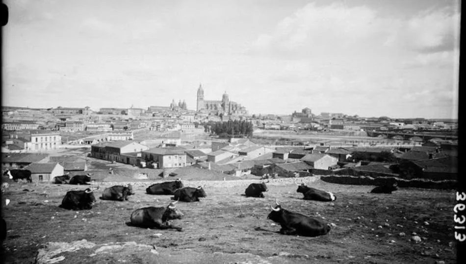 Desde el Teso de la Feria