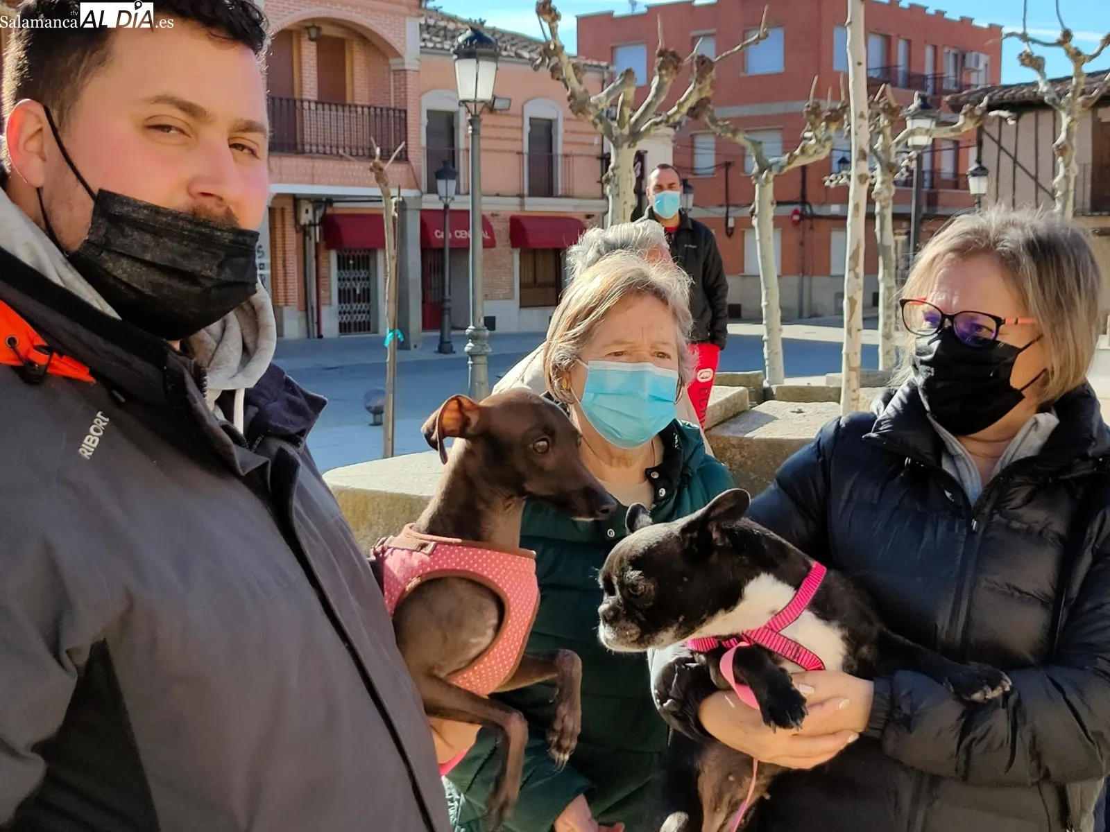 Decenas de macoteranos han participado en la bendición de San Antón
