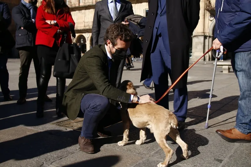 Foto 9 - Pablo Casado, solicitado para multitud de fotograf&iacute;as en su paseo de Salamanca