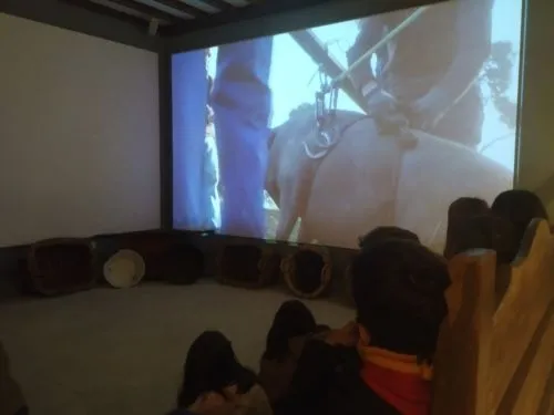 Los escolares del Colegio Miguel de Cervantes han visitado el museo en la primera jornada - Ayto. Guijuelo