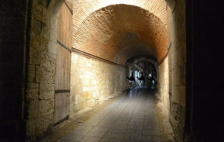 Foto 5 - Cazados los Reyes Magos en plena noche de trabajo por Ciudad Rodrigo