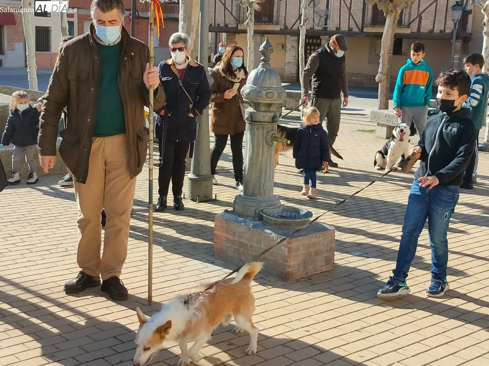 Decenas de macoteranos han participado en la bendición de San Antón