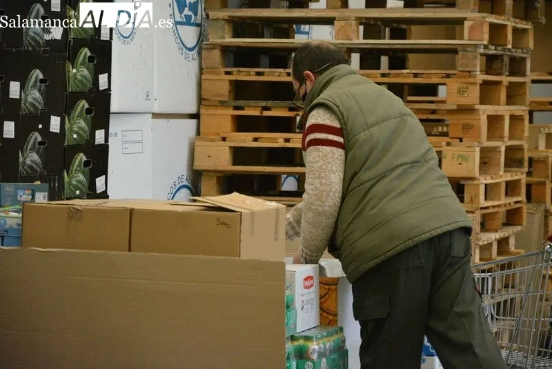 Voluntarios trabajando en el Banco de Alimentos | Fotos: Vanesa Martins