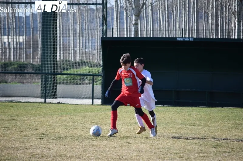 Foto 4 - Resultados del Alba de Tormes Club de F&uacute;tbol en la duod&eacute;cima jornada liguera