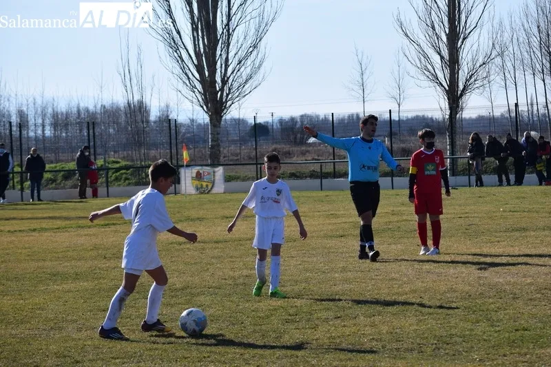 Foto 3 - Resultados del Alba de Tormes Club de F&uacute;tbol en la duod&eacute;cima jornada liguera