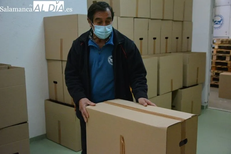 Voluntarios trabajando en el Banco de Alimentos | Fotos: Vanesa Martins