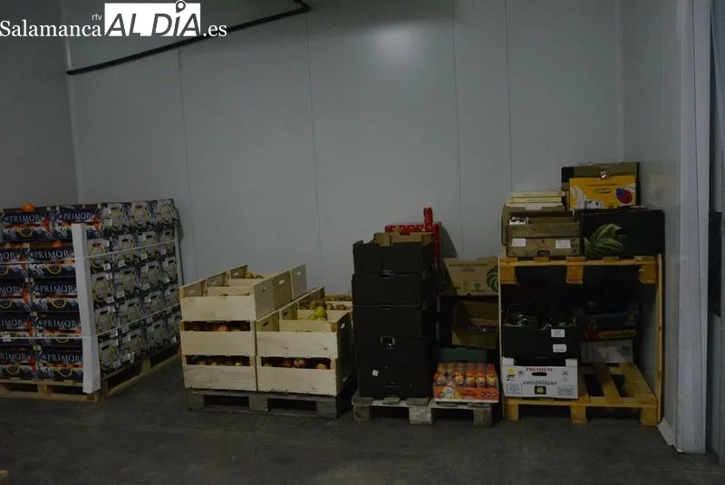 Almacenes del Banco de Alimentos de Salamanca | Fotos: Vanesa Martins
