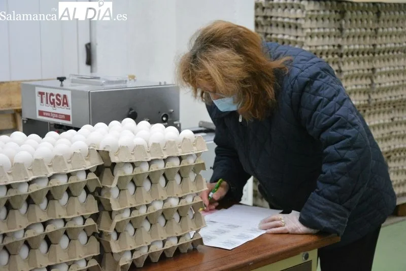 Voluntarios trabajando en el Banco de Alimentos | Fotos: Vanesa Martins