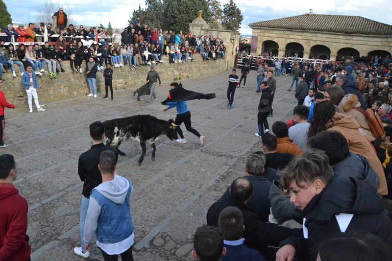 Foto 1 - El Domingo de Piñata volverá a contar -si se celebra- con una capea en el Registro