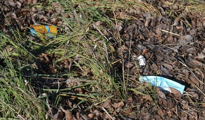 Foto 5 - 1Foto: La amplia y original colecci&oacute;n de basura en el acceso peatonal a los Campos de To&ntilde;ete