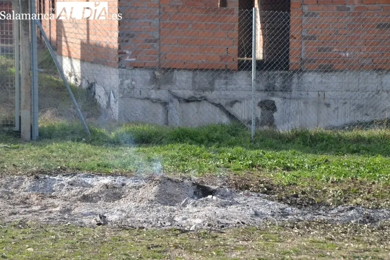 Foto 6 - San Ant&oacute;n vuelve a procesionar por el Arrabal del Puente bendiciendo a cinco perros y un erizo