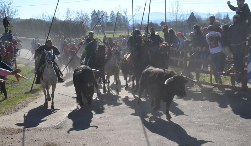 Foto 1 - El Centro Ecuestre Casasola organizará el encierro a caballo, con el mismo recorrido que en 2020
