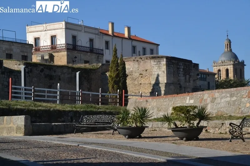 Primeras agujas en las calles mirobrigenses