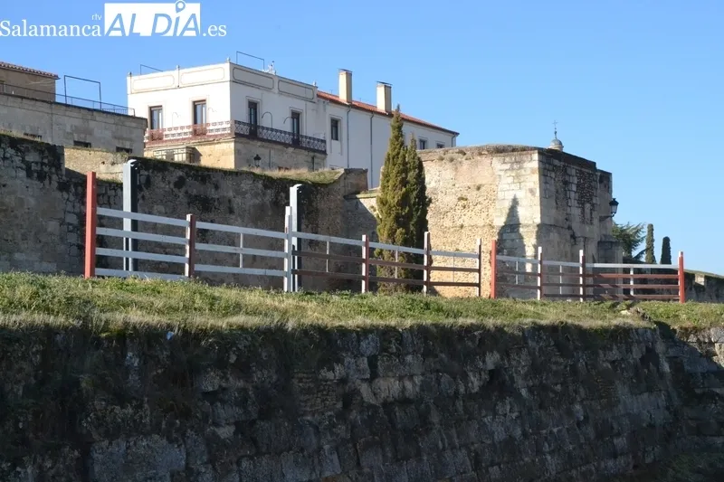 Primeras agujas en las calles mirobrigenses