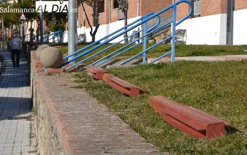 Primeras agujas en las calles mirobrigenses
