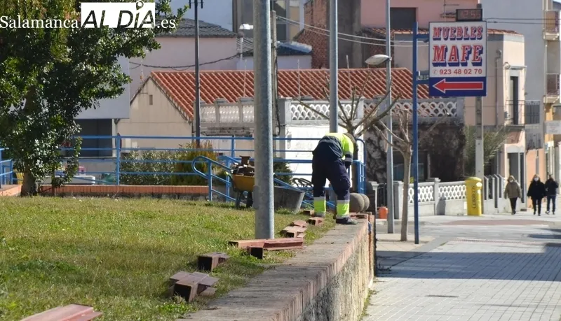Primeras agujas en las calles mirobrigenses