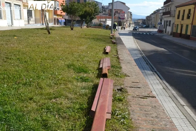 Primeras agujas en las calles mirobrigenses