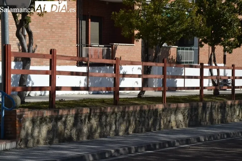 Primeras agujas en las calles mirobrigenses