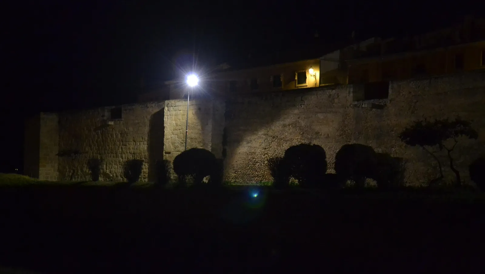 Foto 3 - Parte del Paseo Fernando Arrabal &lsquo;cambia de luz&rsquo; con motivo del Carnaval
