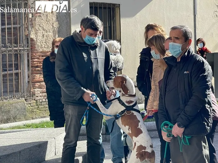 La bendición de San Antón se celebraba a las puertas de la iglesia parroquial