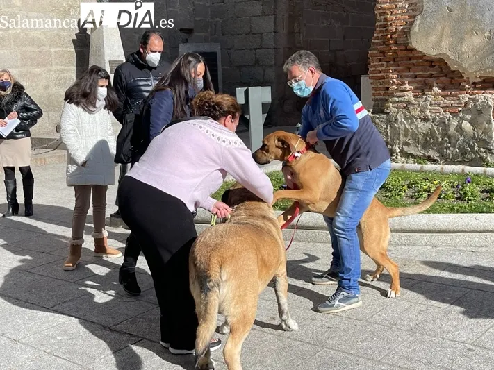 La bendición de San Antón se celebraba a las puertas de la iglesia parroquial