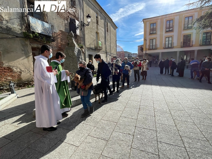 Bendiciones y buenos deseos durante la celebración de San Antón en Peñaranda