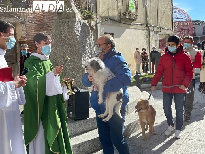La bendición de San Antón se celebraba a las puertas de la iglesia parroquial