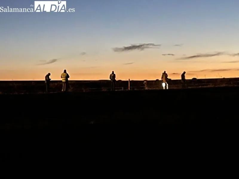 Zona en la que se ha localizado esta tarde un cuerpo sin vida, sobre la vía del tren de Gimialcón 
